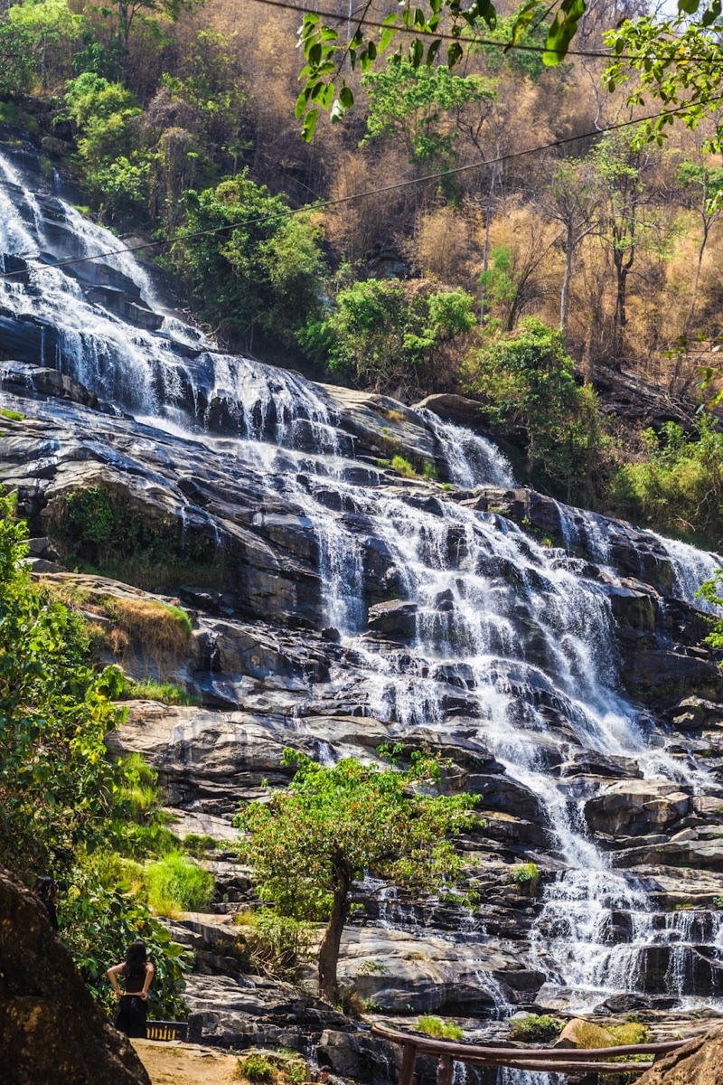 Bua Tong Sticky Waterfalls