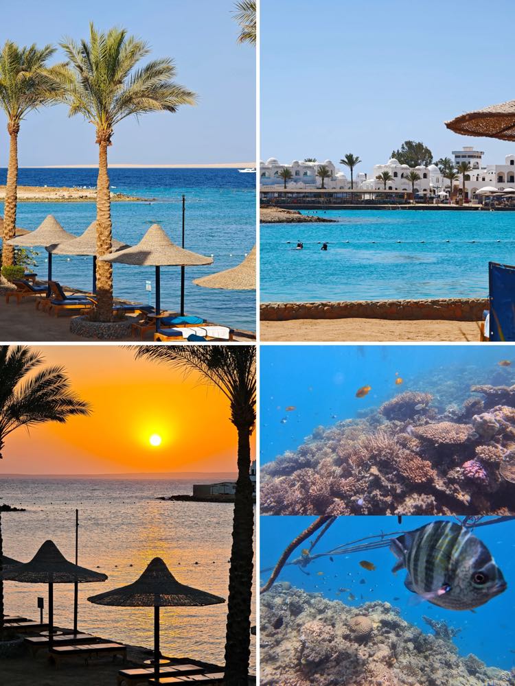 Arabia Azur Resort 阿拉伯海岸阿祖尔度假酒店