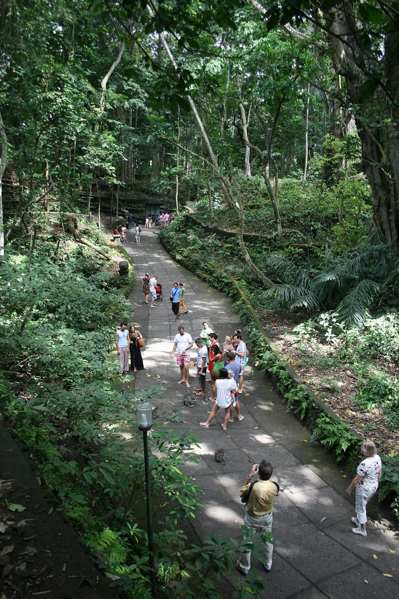Sacred Monkey Forest Sanctuary (Ubud)