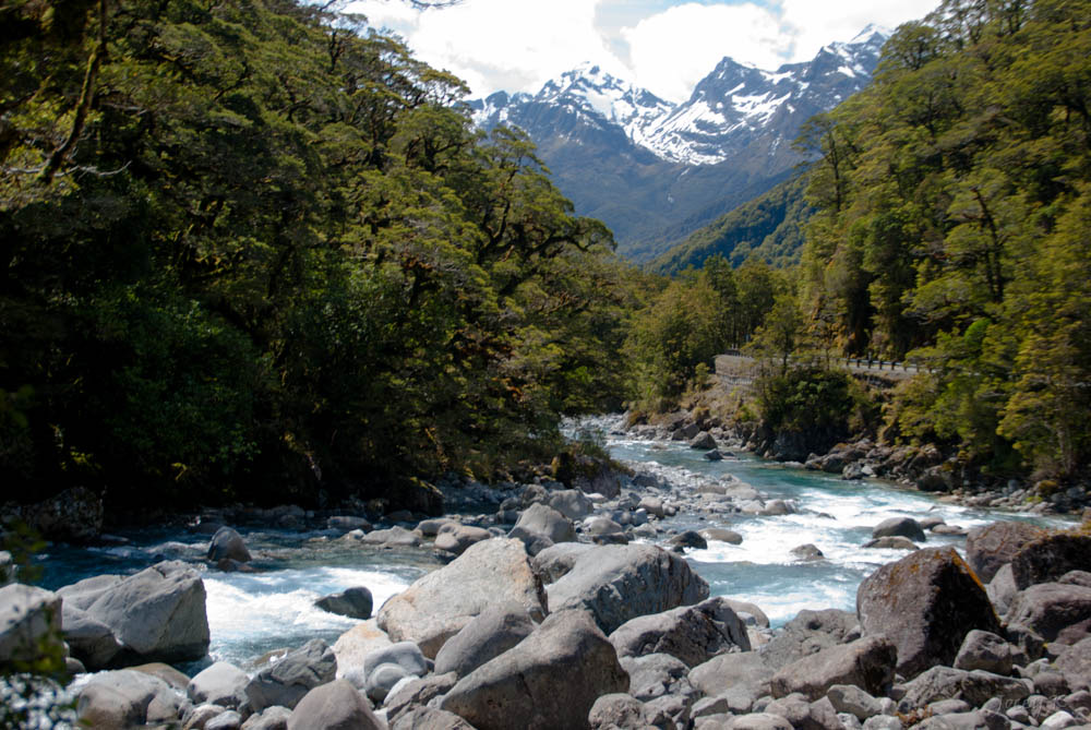 Milford Sound (Day Trip)