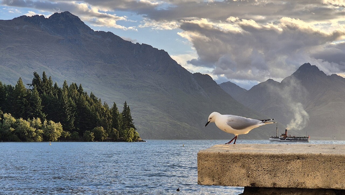Lake Wakatipu and TSS Earnslaw
